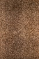 Nordic Brown Light