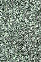 Nordic Green Living 1